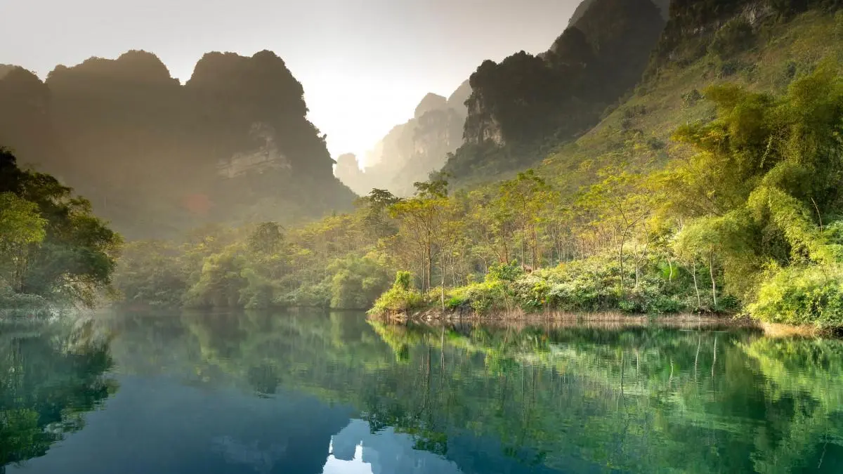 高性能高端